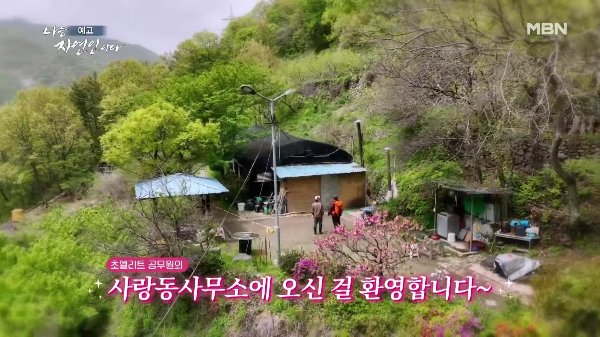 나는 자연인이다 42년 공무원 출신 산야초 대통밥 봄 나물 전 행복산 사랑동사무소 자연인 강이규 소개 및 이승윤 출연 552회 다시보기