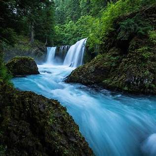1번,블루톤,1단계에서 생성된 문구 사용