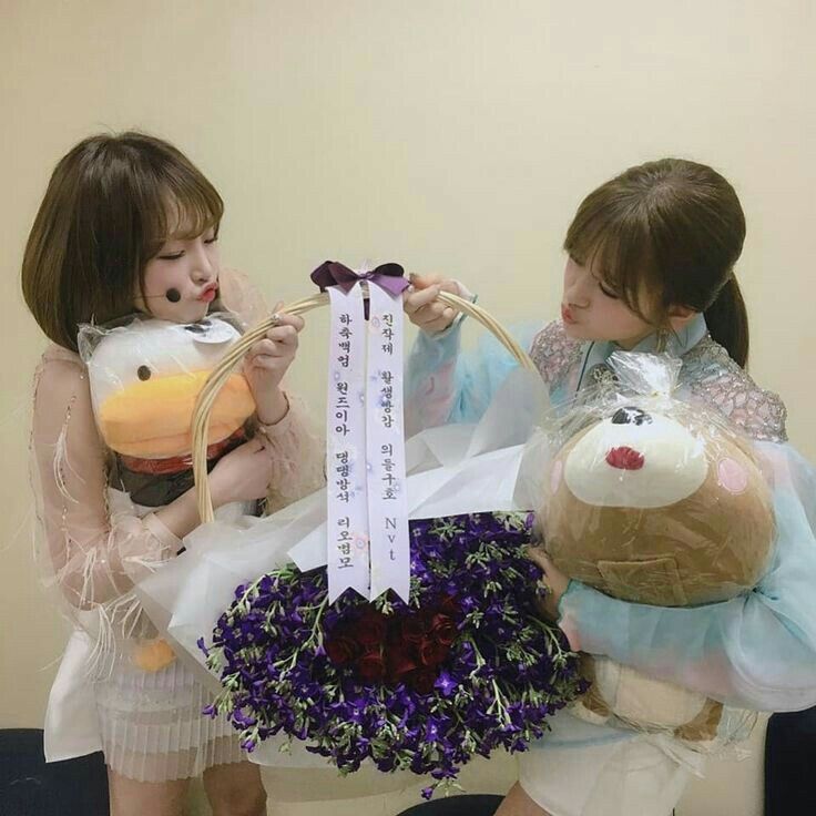 아이즈원 프로듀스48 사진 모음