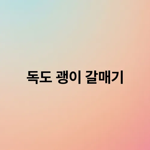 독도 괭이 갈매기