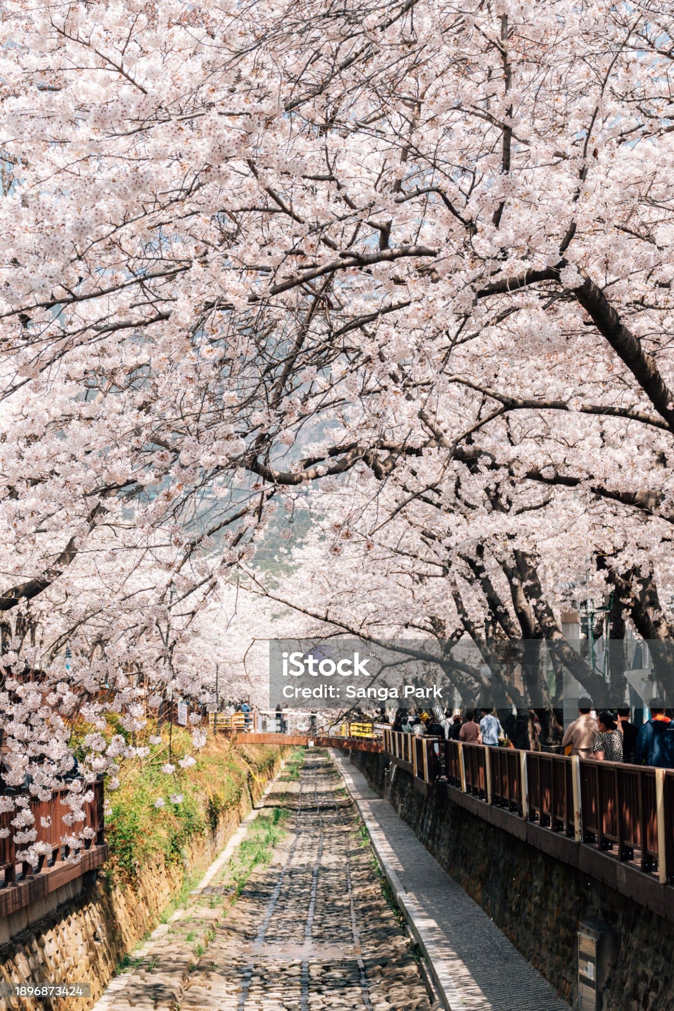 보문단지 주차장 혼잡도 확인 방법