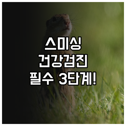 건강검진 사칭 스미싱 피해 즉시 막는..