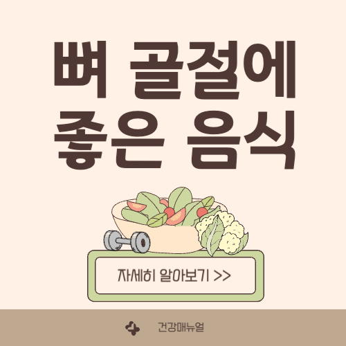 뼈 골절에 좋은 음식 12가지 총정리