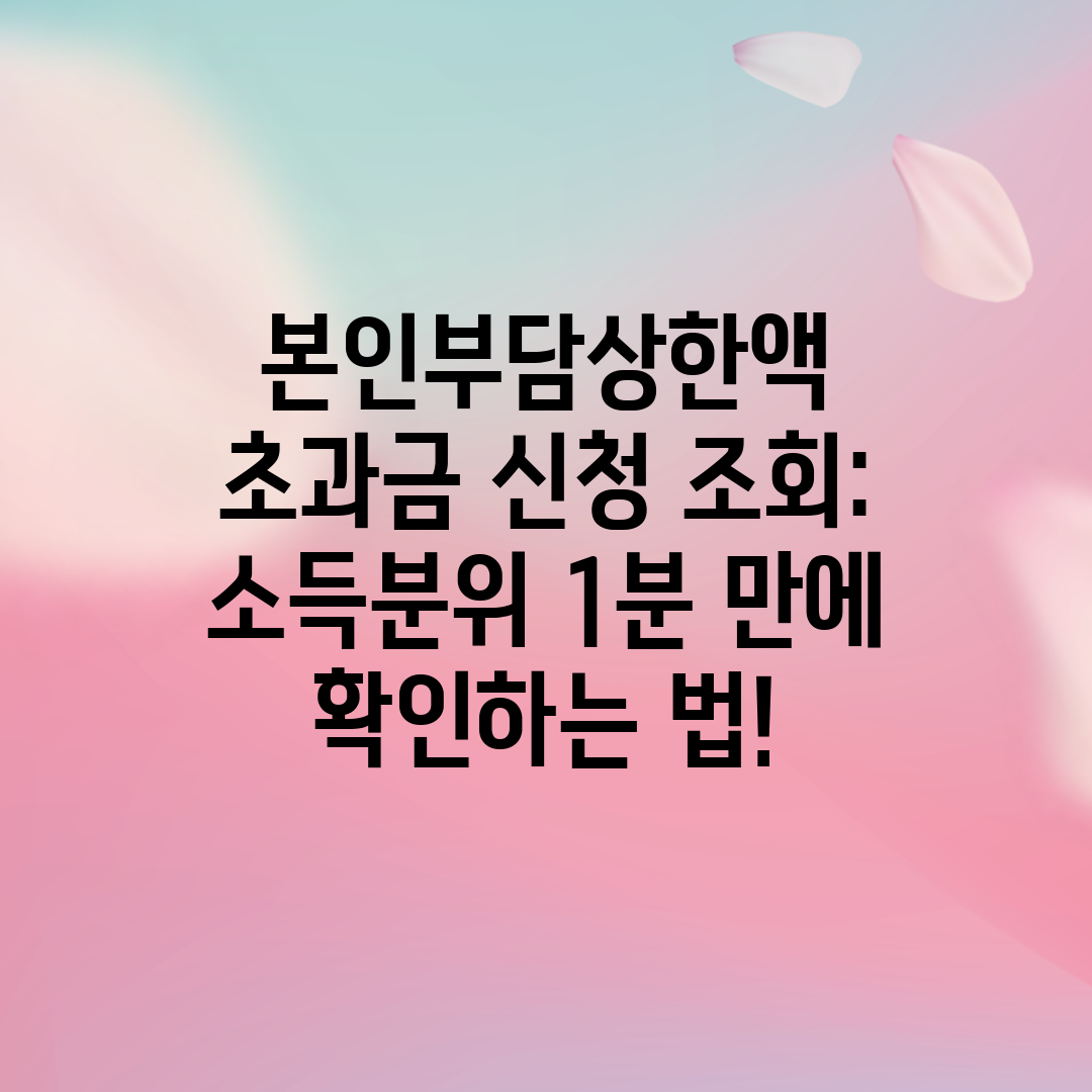 본인부담상한액 초과금 신청 조회 소득분위 1분 만에 확