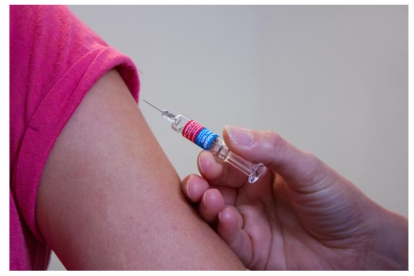 백일해 임산부 접종