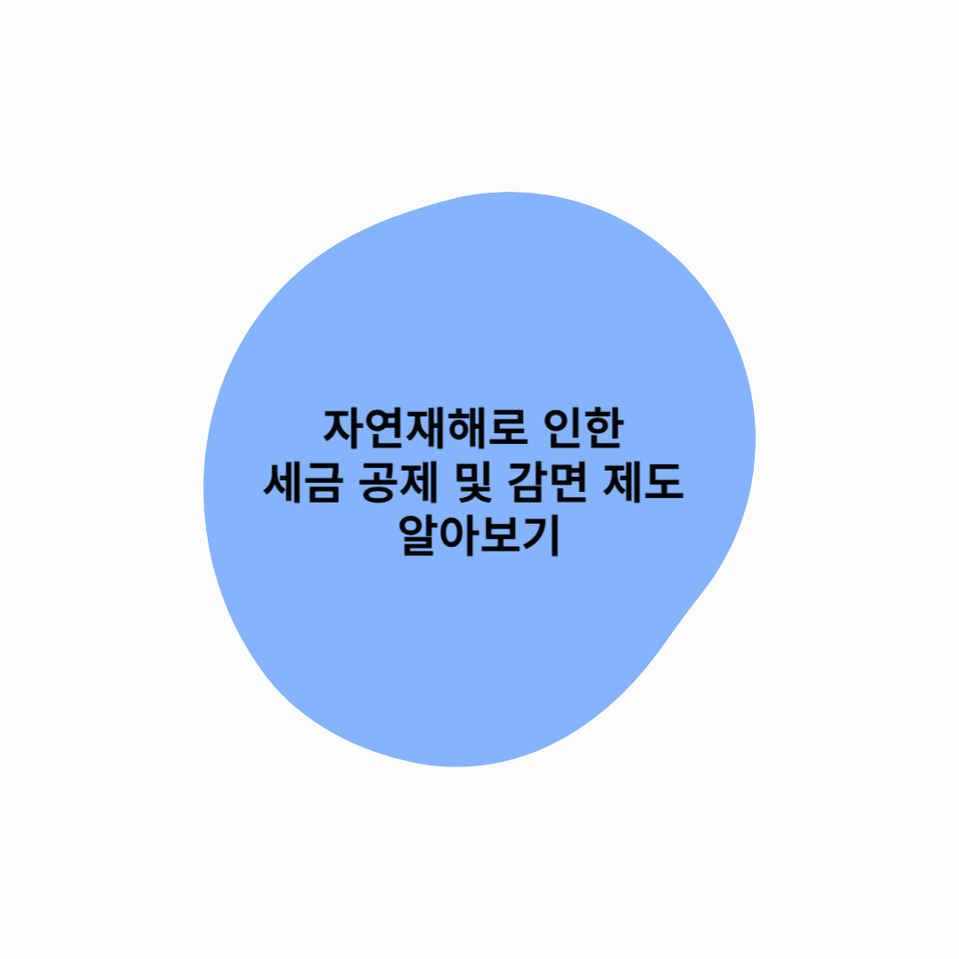 자연재해로 인한 세금 공제 및 감면 제도 알아보기 – 미국 세법 상 Casualty Loss와 재해 관련 세제 혜택 중심