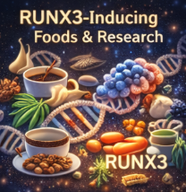 RUNX3 발현을 유도하는 식품