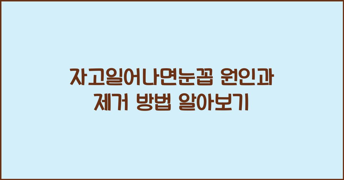 자고일어나면눈꼽