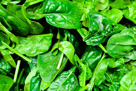 저녁밥대신야채-시금치