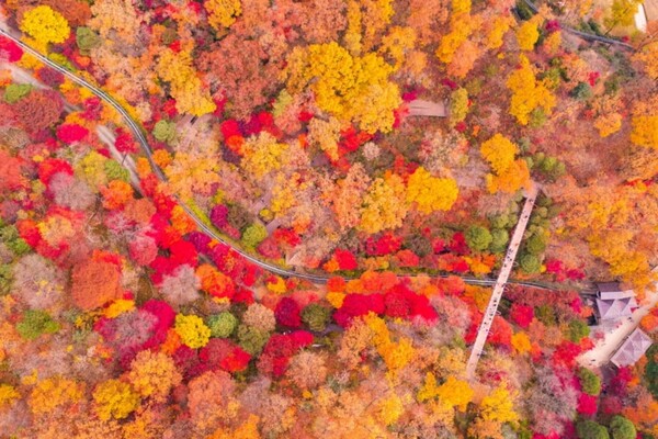 당일치기-서울-근교-단풍-구경-가볼만한-곳-남한산성