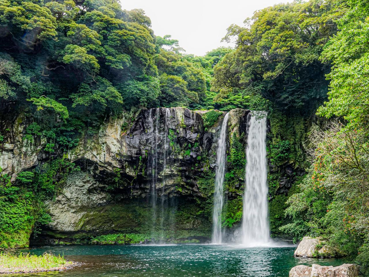 천지연폭포 (제주관광공사 홈페이지)