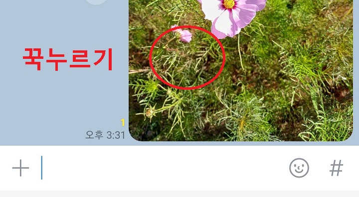 사진 꾹누름