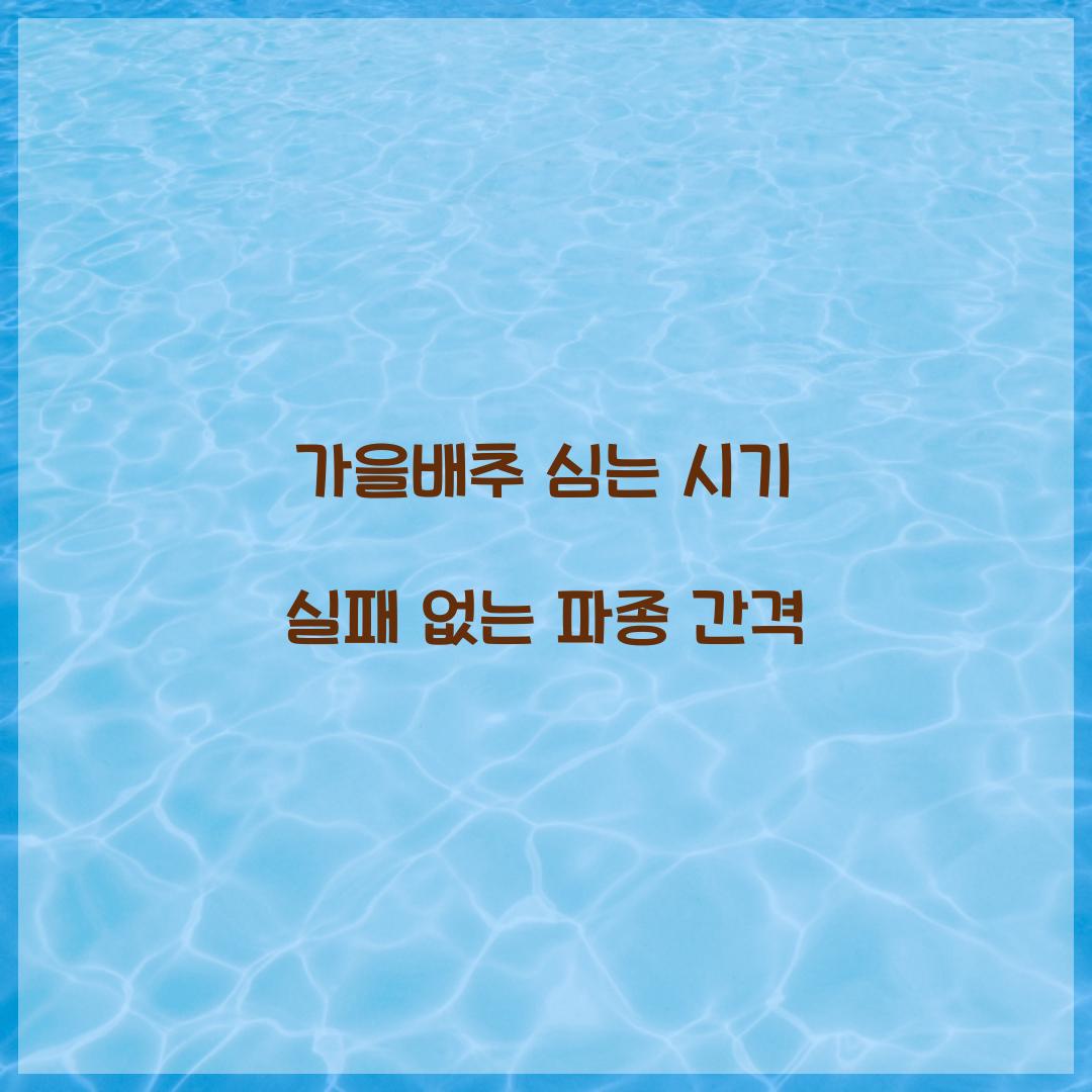 가을배추 심는 시기 실패 없는 파종 간격