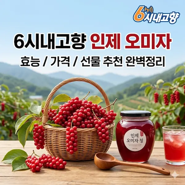 6시내고향 인제 오미자