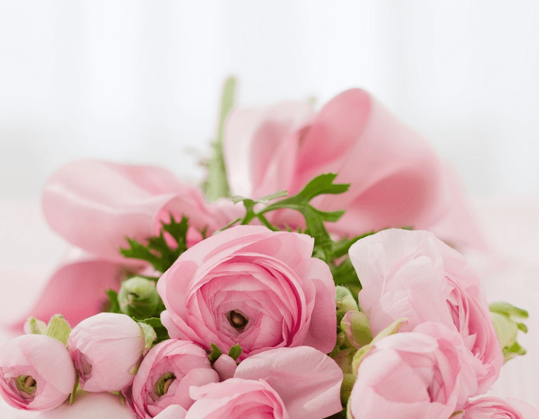 매월 14일 기념일