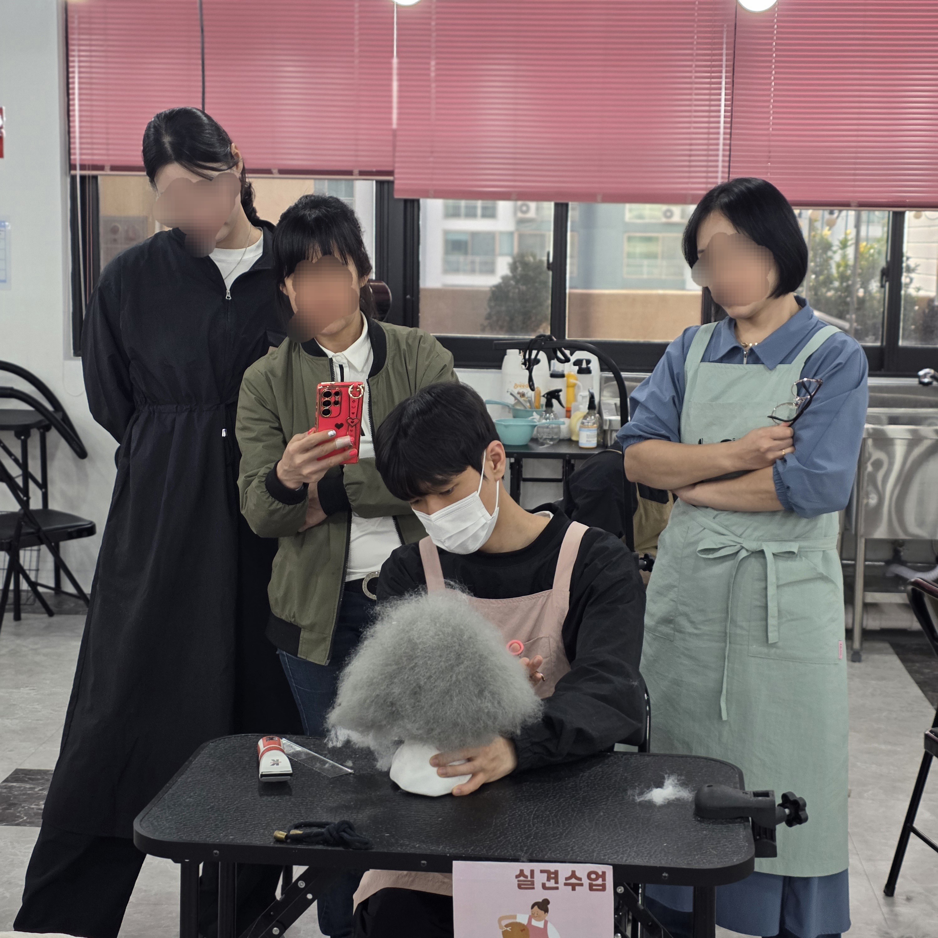 강동구애견미용학원