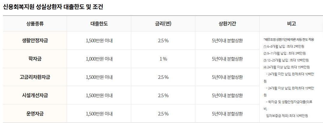 신용불량자 경기도 재도전론 정부지원 대출 조건 한도