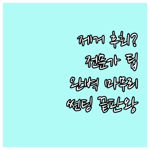 썬팅 제거 후 후회없는 선택: 전문가..