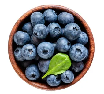 블루베리 효능 먹는법 하루 섭취량 쥬스_3