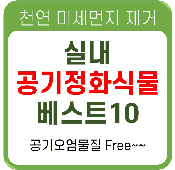 공기정화식물