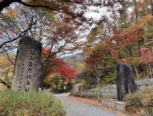 비슬산 치유의숲