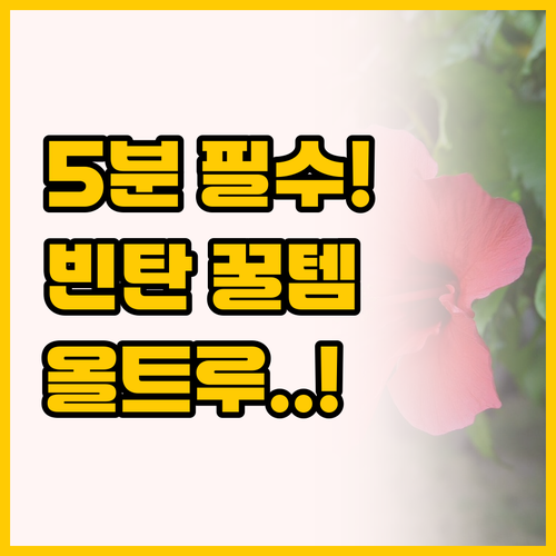 페리 터미널 도보 5분! 빈탄 여행 ..