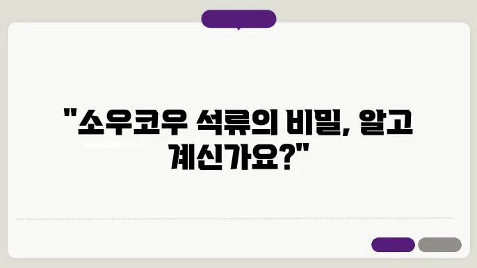 소우코우 석류에스S 영양제 효과 및 내돈내산 보조제 후기 부작용 가격