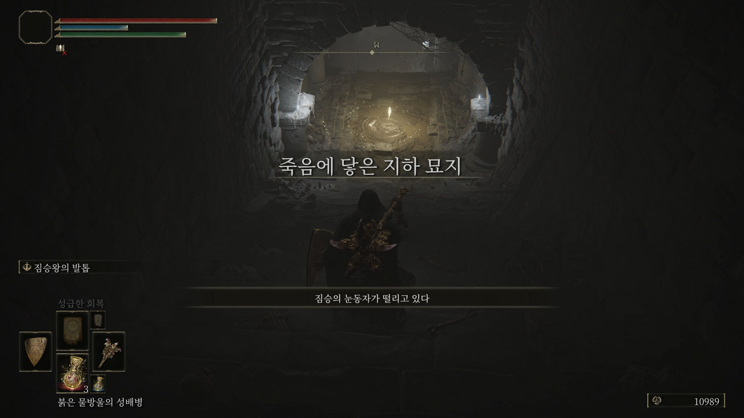 '짐승의 눈동자' 효과