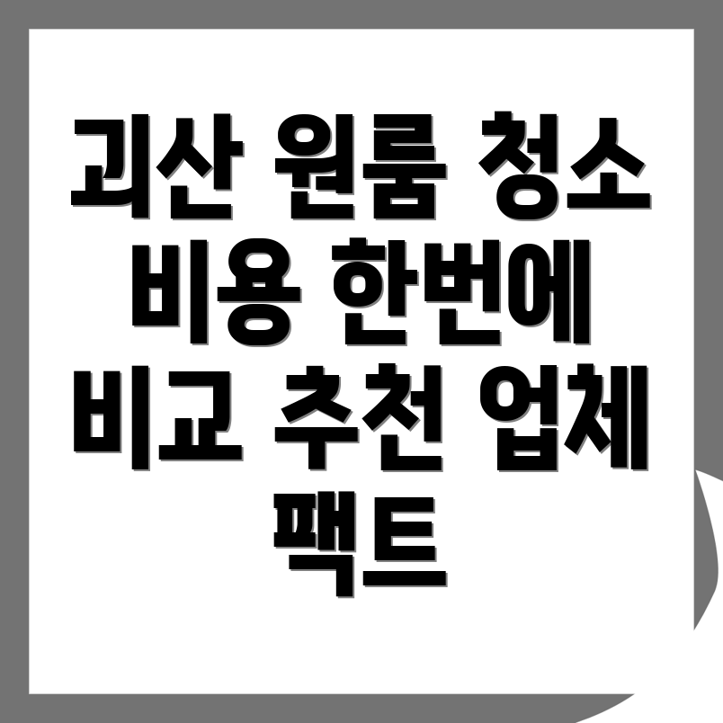 원룸 청소 비용