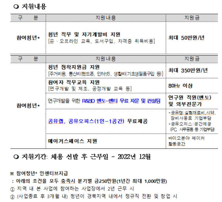 참여 청년 지원 내용