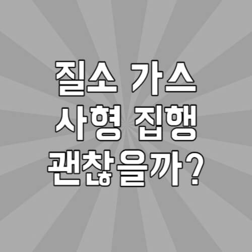 질소 가스 사형 집행하게 된 이유