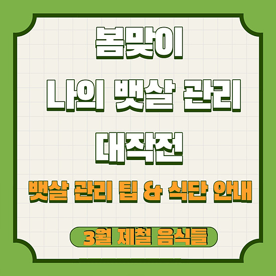 봄맞이 다이어트의 시작&#44; 나의 뱃살 관리하기