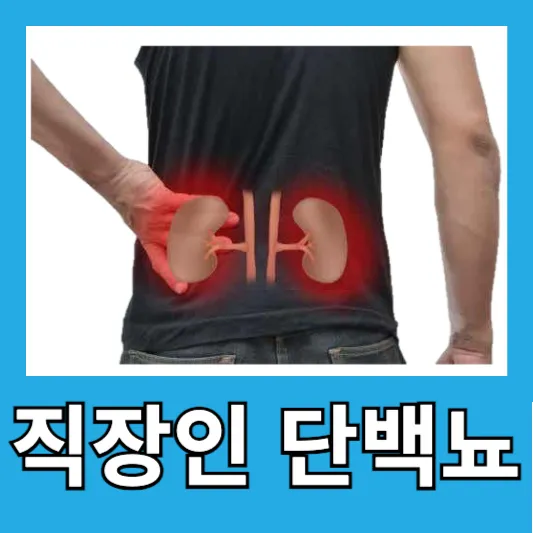 직장인 단백뇨 소변오줌 고혈압 당뇨병 단백뇨 원인 예방 관리 치료