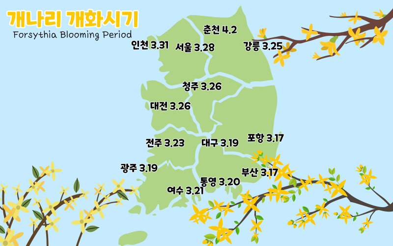 개나리 개화시기