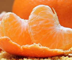 감기 예방 효능이 있는 귤 효능