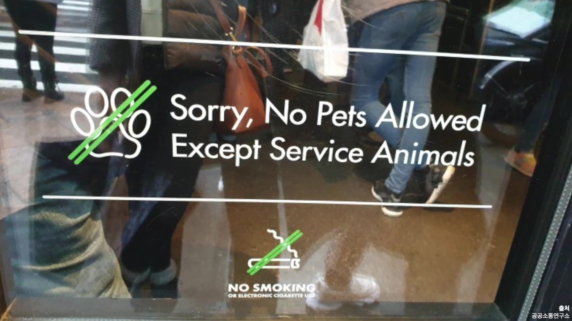 Sorry, No Pets Allowed Except Service Animals