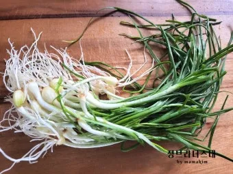 달래 손질 방법 달래장 맛있게 꿀팁_22