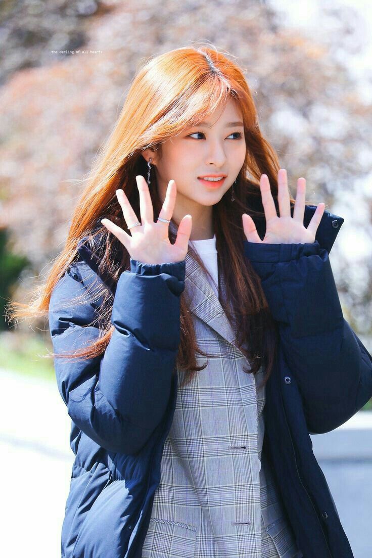 아이즈원 김민주 최애사진 아이즈원 김민주 최애사진