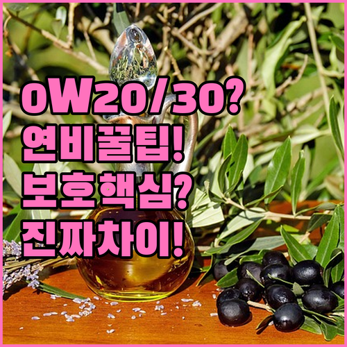 엔진오일 점도 0w20 5w30 비교..