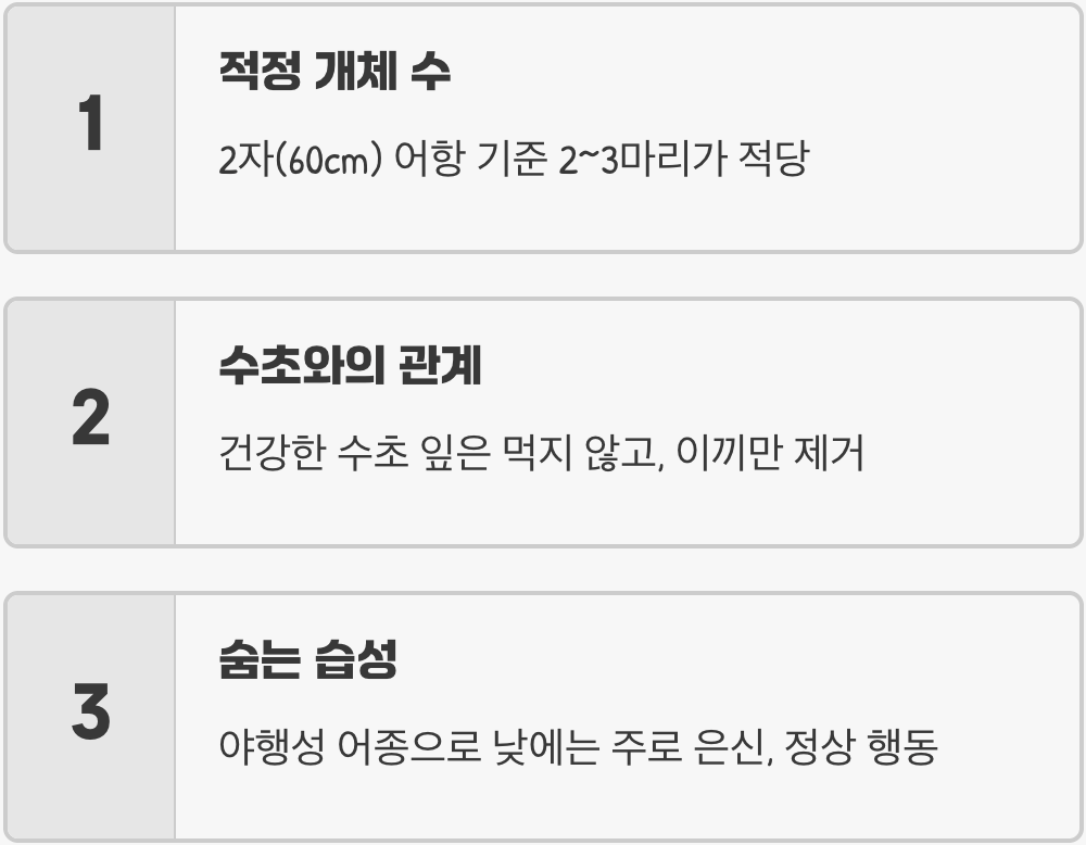 어항 이끼 청소부, 돌고기가 최고의 선택인 이유