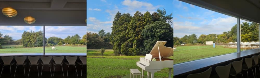 생생정보통 오늘방송(3월 11일) 제주 두모리에피싱샵,성읍민속마을,늘은녹차한잔,사월의꿩,비케이브