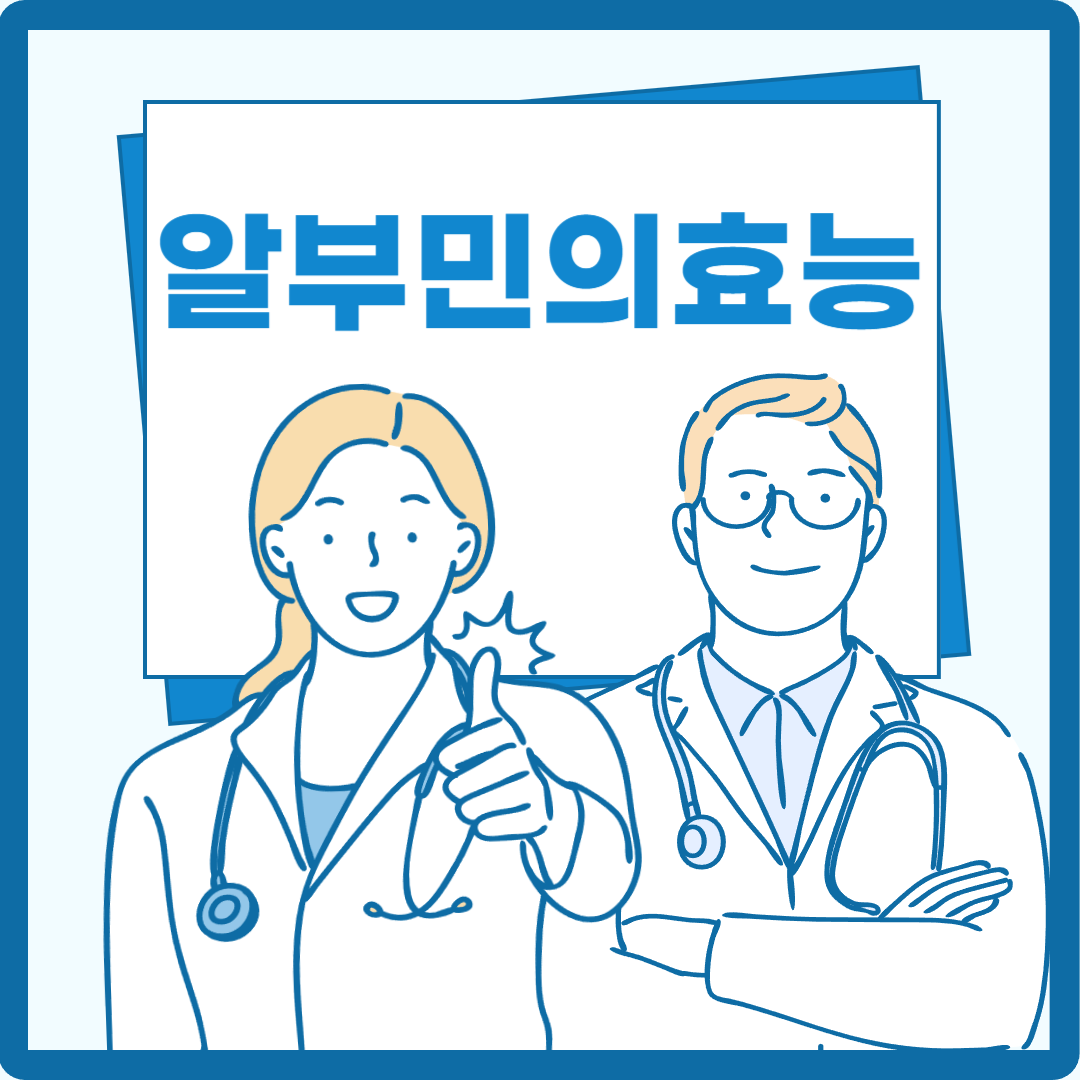 알부민의 효능
