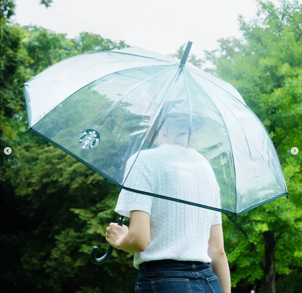 스타벅스 장우산 실물사진