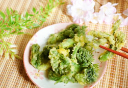 두릅 채취 시기 및 6가지 효능 (+ 요리 장아찌 만드는 법 보관법)