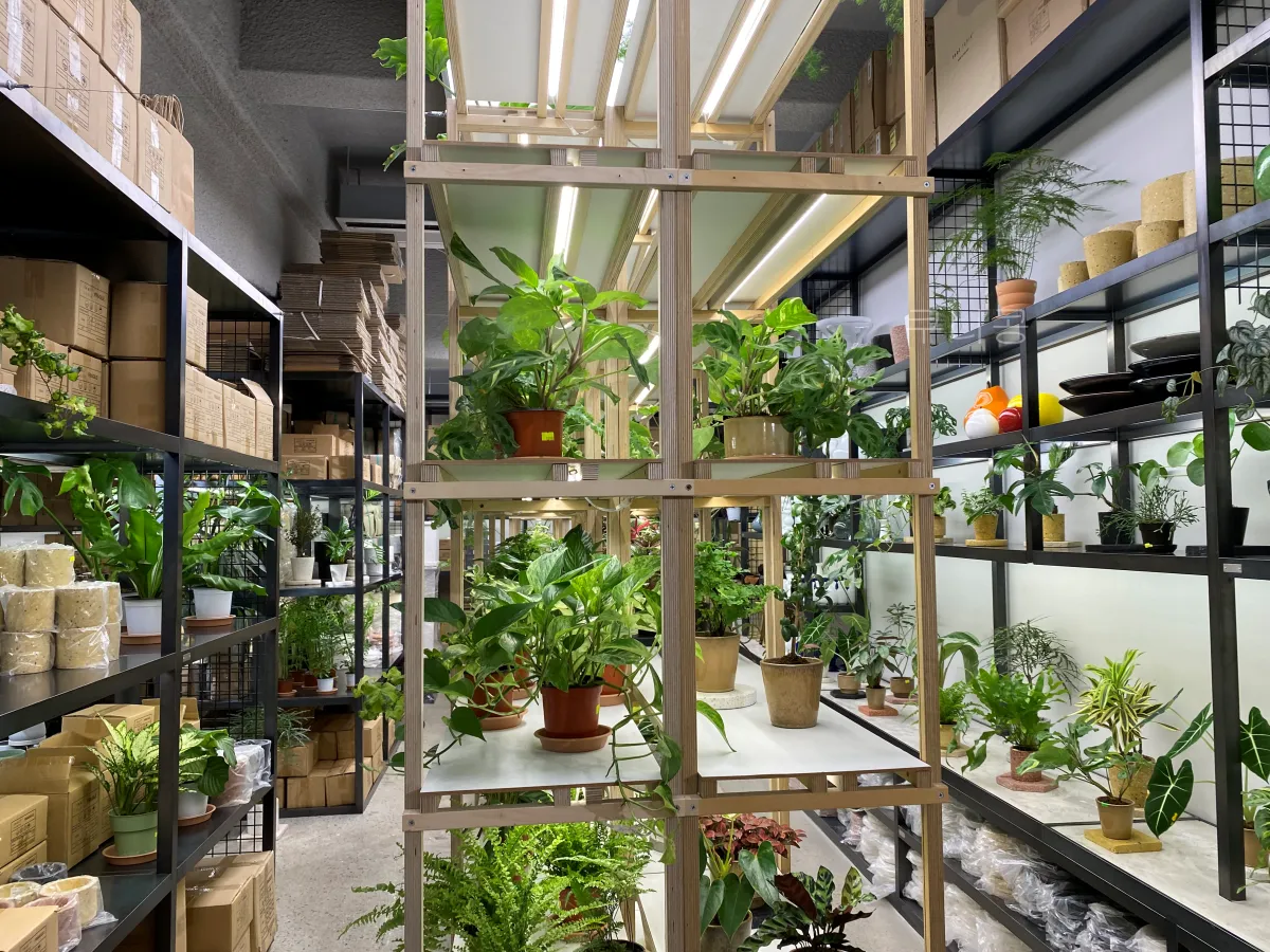 성수동-식집사-갈만한-곳-추천,-식물-구경하기-좋은-틸테이블