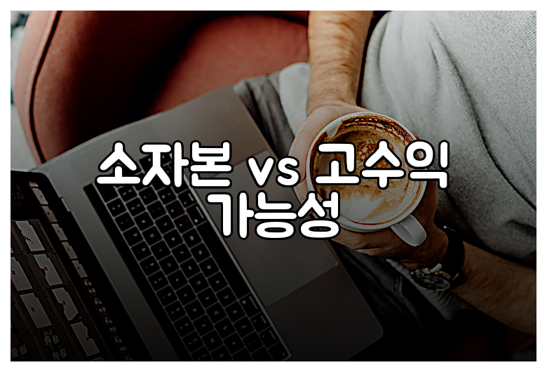 소자본 vs 고수익 가능성