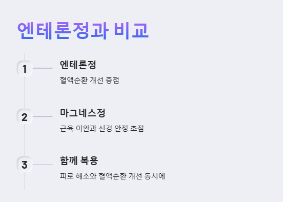 마그네스정
