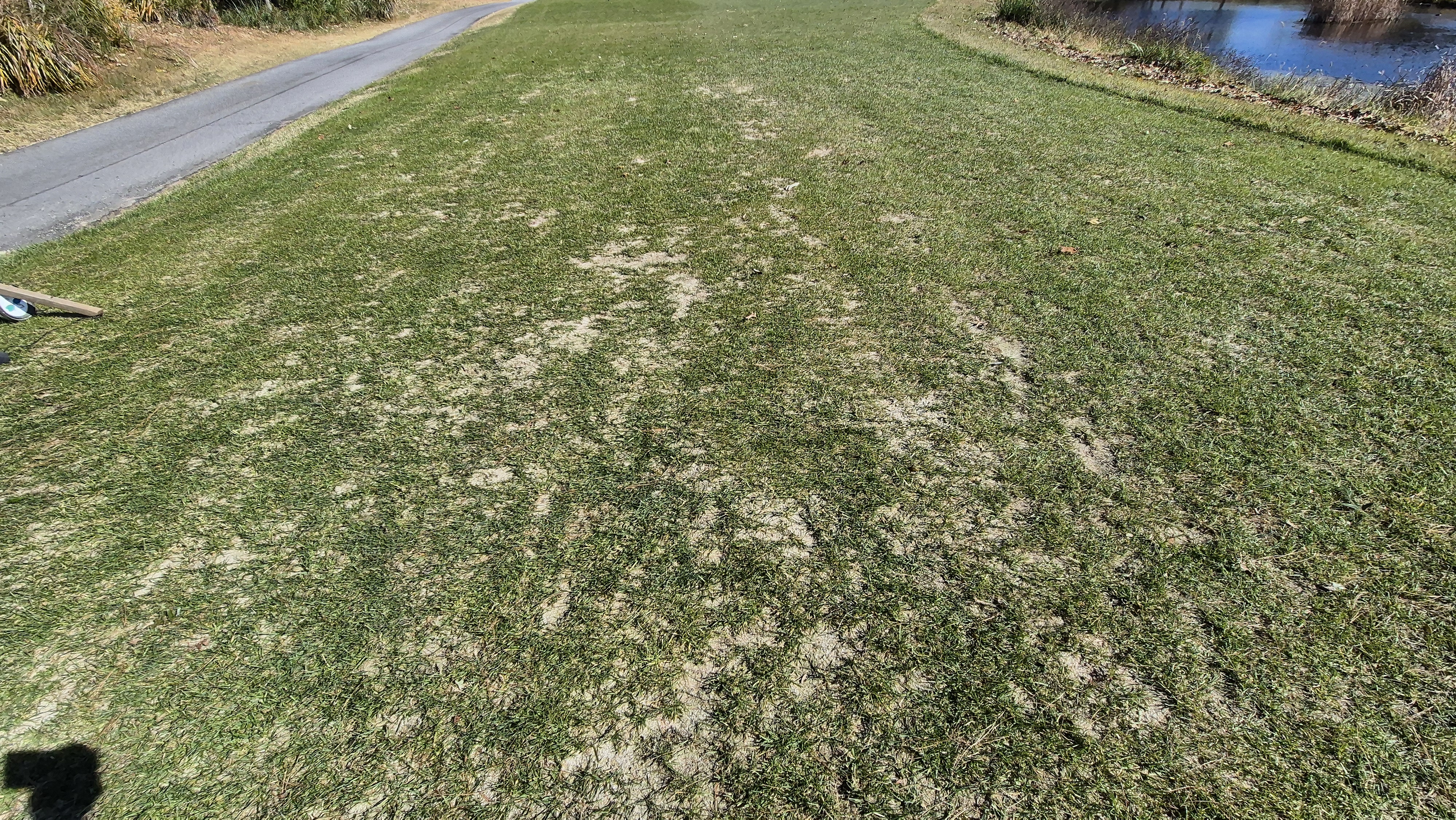 동촌gc 티잉구역 상태