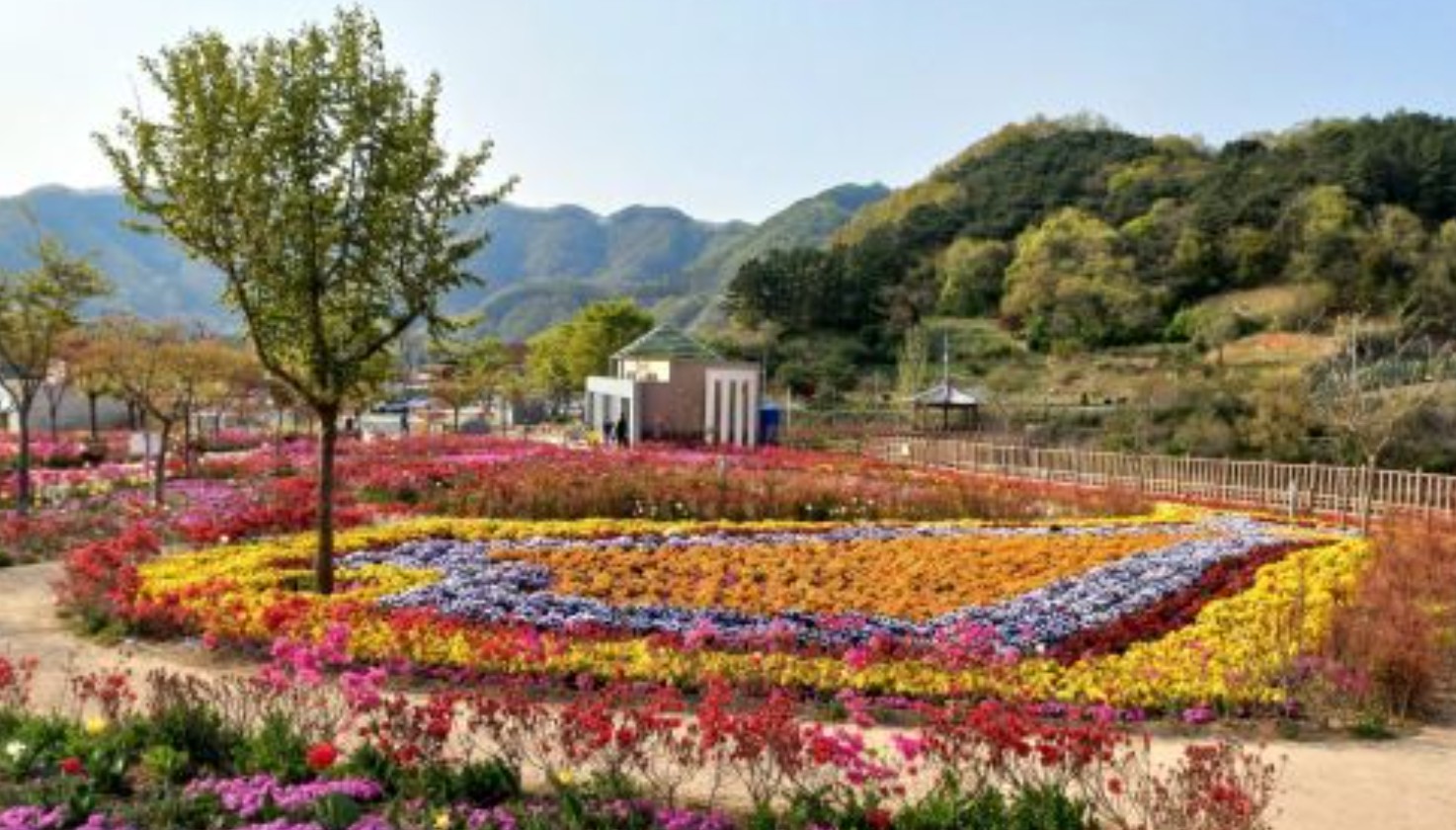 어버이날 전국 꽃 나들이 추천