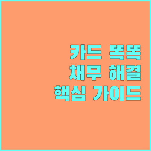 신용카드 똑똑하게 쓰는 법 과도한 채